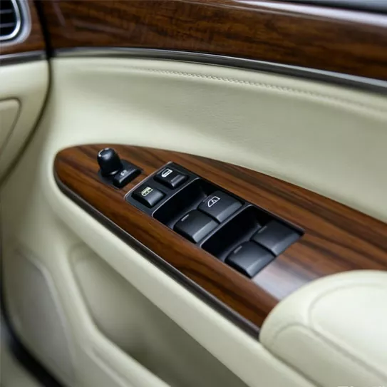 Plastic Wear-Resistant Automotive အတွင်းခန်း ခလုတ်များ
